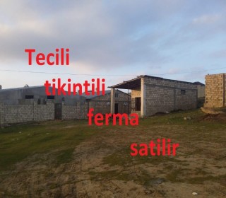 Satılır Obyekt, Abşeron.r, Masazır-1