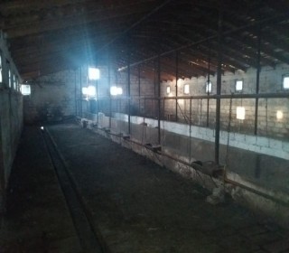 Satılır Obyekt, Abşeron.r, Masazır-8