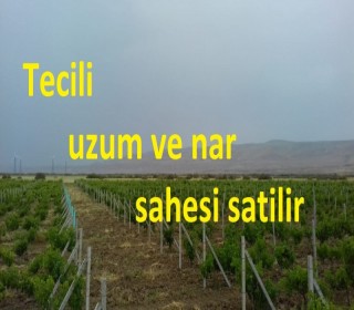 Satılır Obyekt, Xızı.ş-1