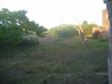 Satılır Torpaq, Sabunçu.r, Maştağa, Koroğlu.m-3