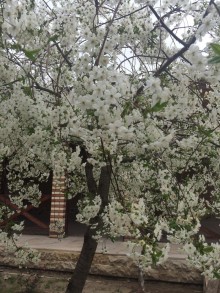 Satılır Villa, Binəqədi.r, Rəsulzadə, Nəsimi.m-3