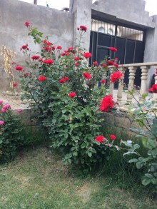 Satılır Villa, Binəqədi.r, Rəsulzadə, Nəsimi.m-10