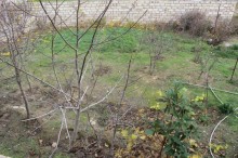 Satılır Həyət evi, Sabunçu.r, Sabunçu, Koroğlu.m-9