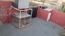 Satılır Həyət evi, Sabunçu.r, Kürdəxanı-7
