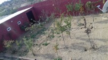 Satılır Həyət evi, Sabunçu.r, Kürdəxanı-9