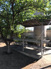 Kirayə (Aylıq) Həyət evi, Sabunçu.r, Pirşağı, Koroğlu.m-5
