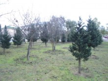 bina .az merdekanda bag evleri, -7