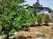 Kirayə (Aylıq) Həyət evi, Xəzər.r, Mərdəkan-2
