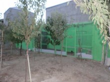 Satılır Həyət evi, Abşeron.r, Masazır-20