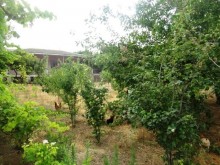 Satılır Həyət evi, Abşeron.r, Novxanı-2