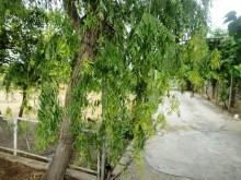 Satılır Həyət evi, Abşeron.r, Novxanı-3