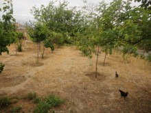 Satılır Həyət evi, Abşeron.r, Novxanı-8
