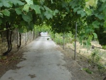 Satılır Həyət evi, Abşeron.r, Novxanı-9
