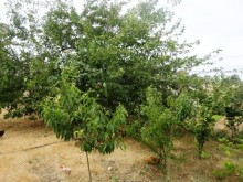 Satılır Həyət evi, Abşeron.r, Novxanı-11