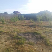 Satılır Torpaq, Xəzər.r, Şüvəlan-1