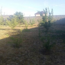 Satılır Torpaq, Xəzər.r, Şüvəlan-2