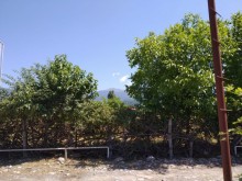 Satılır Torpaq, Qəbələ.ş-6