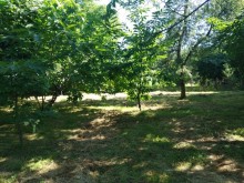 Satılır Torpaq, Qəbələ.ş-1