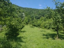 Satılır Torpaq, Qəbələ.ş-1