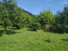 Satılır Torpaq, Qəbələ.ş-4