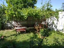 Kirayə (Aylıq) Həyət evi, Qəbələ.ş-2