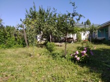 Kirayə (Aylıq) Həyət evi, Qəbələ.ş-6