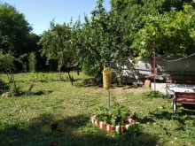 Kirayə (Aylıq) Həyət evi, Qəbələ.ş-8