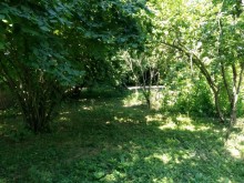 Kirayə (Aylıq) Həyət evi, Qəbələ.ş-9