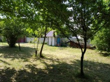 Satılır Torpaq, Qəbələ.ş-6