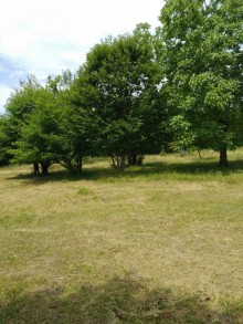 Satılır Torpaq, Qəbələ.ş-2