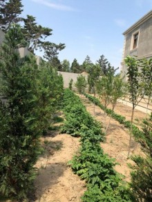 Satılır Həyət evi, Sabunçu.r, Bilgəh-18