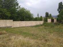 Satılır Torpaq, Qəbələ.ş-7