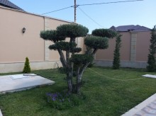 Satılır Villa, Xəzər.r, Şüvəlan-18