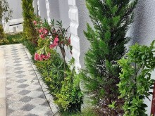 tap az heyet evleri merdekan, -2