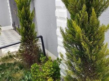 tap az heyet evleri merdekan, -13