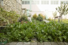 Satılır Həyət evi, Abşeron.r, Masazır-14