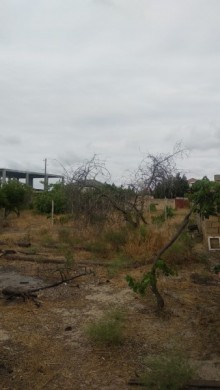 Satılır Torpaq, Abşeron.r, Novxanı-2