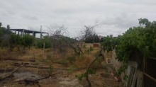 Satılır Torpaq, Abşeron.r, Novxanı-3