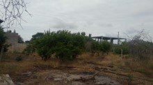 Satılır Torpaq, Abşeron.r, Novxanı-5