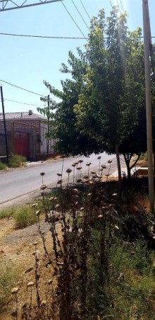Satılır Torpaq, Sabunçu.r, Bilgəh-7