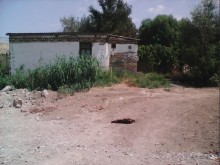Satılır Həyət evi, Sumqayıt.ş-15
