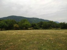 Satılır Torpaq, Qəbələ.ş-2