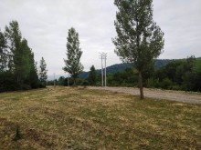 Satılır Torpaq, Qəbələ.ş-4