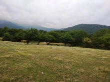 Satılır Torpaq, Qəbələ.ş-5