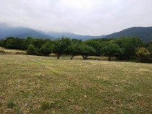 Satılır Torpaq, Qəbələ.ş-8