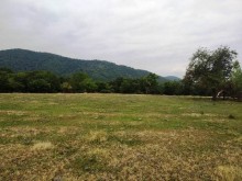 Satılır Torpaq, Qəbələ.ş-10