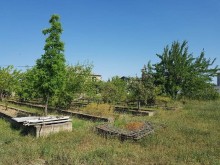 Satılır Həyət evi, Binəqədi.r-7