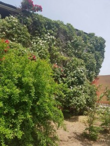 Satılır Həyət evi, Sabunçu.r, Maştağa-3