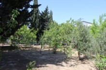 Satılır Həyət evi, Sabunçu.r, Maştağa-17