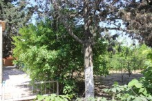Satılır Həyət evi, Sabunçu.r, Maştağa-18